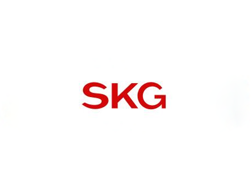 SKG電器